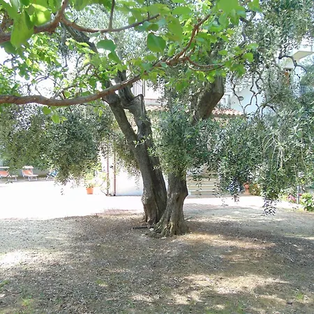 Appartamento In Villa Con Giardino Pizzomunno * Vieste