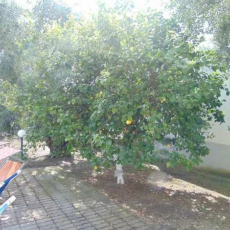 Appartamento In Villa Con Giardino Pizzomunno Apartment Vieste