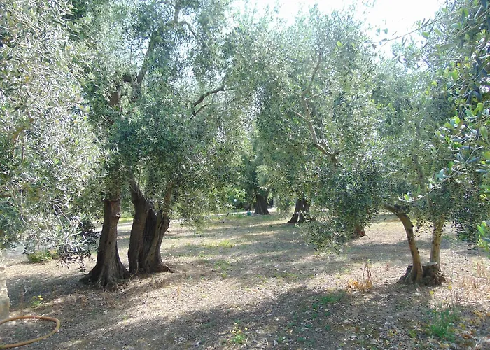 In Con Giardino Pizzomunno ויאסטה